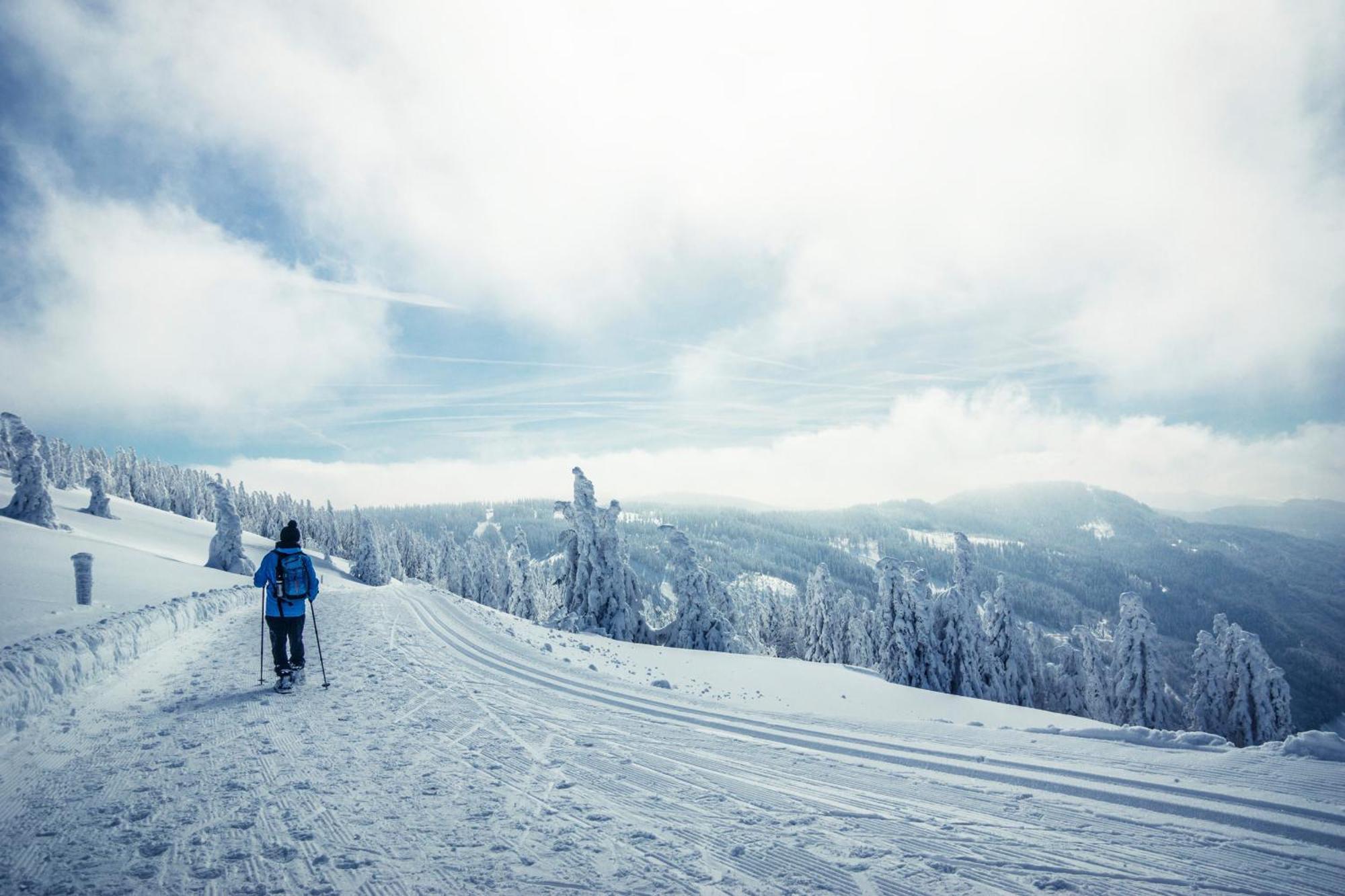 Haus Findling, 10 Personen, Schluchsee, Hochschwarzwaldkarte エクステリア 写真